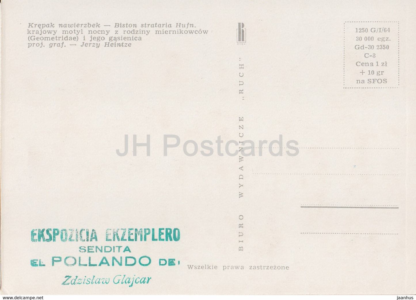 Krepak nawierzbek - Oak beauty - Biston strataria - moth - insects - illustration - Poland - unused