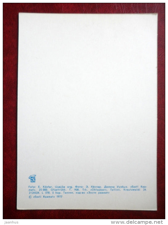 Uuejõe valley - Hiiumaa island - 1977 - Estonia USSR - unused - JH Postcards