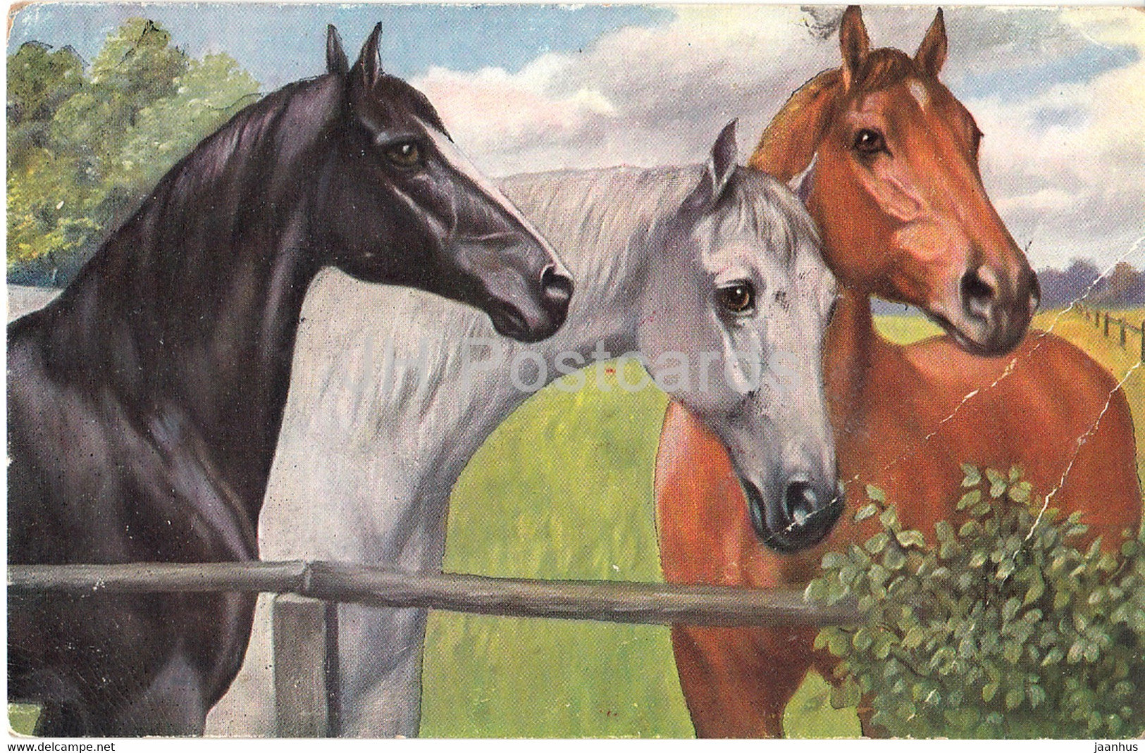 horses - illustration - T S N Serie 1992 - old postcard - 1922 - used - JH Postcards