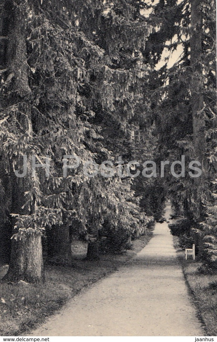 Mikhailovskoye - Fir-Tree Alley - Pushkin Nature Reserve - 1968 - Russia USSR - unused - JH Postcards
