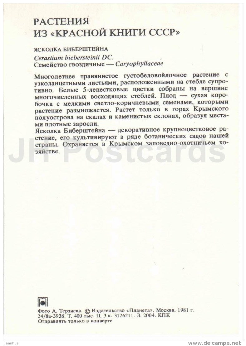 Boreal chickweed - Cerastium biebersteinii - Endangered Plants of USSR - nature - 1981 - Russia USSR - unused - JH Postcards