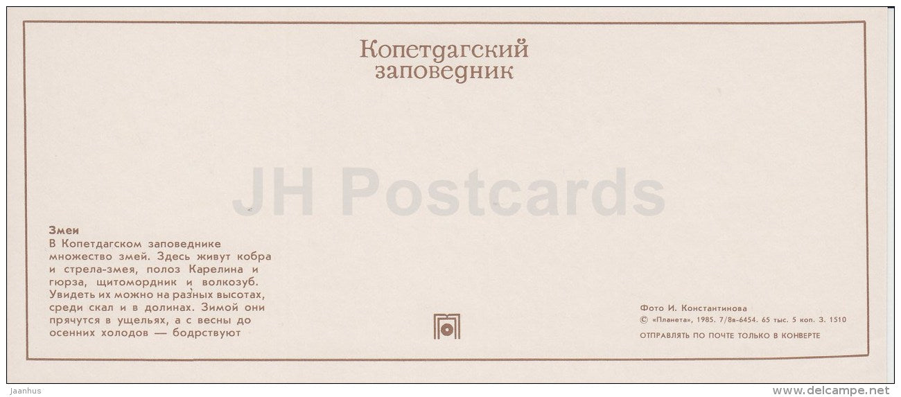 cobra - Psammophis lineolatus - Snakes - Kopet Dagh Nature Reserve - 1985 - Turkmenistan USSR - unused - JH Postcards