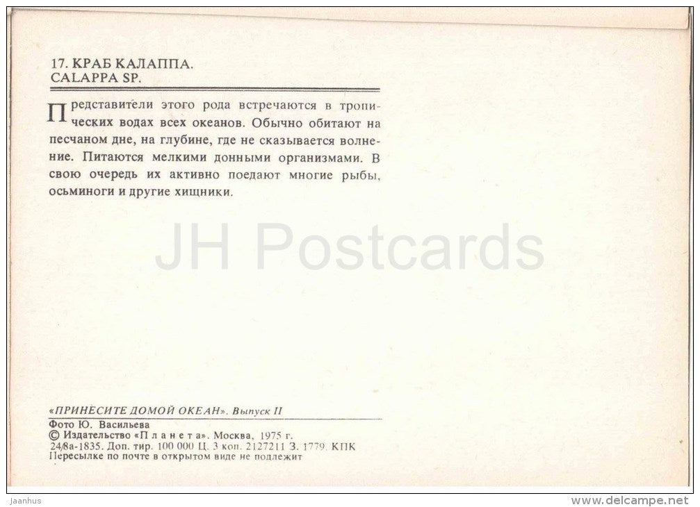 Box Crab - Calappa sp - 1975 - Russia USSR - unused - JH Postcards