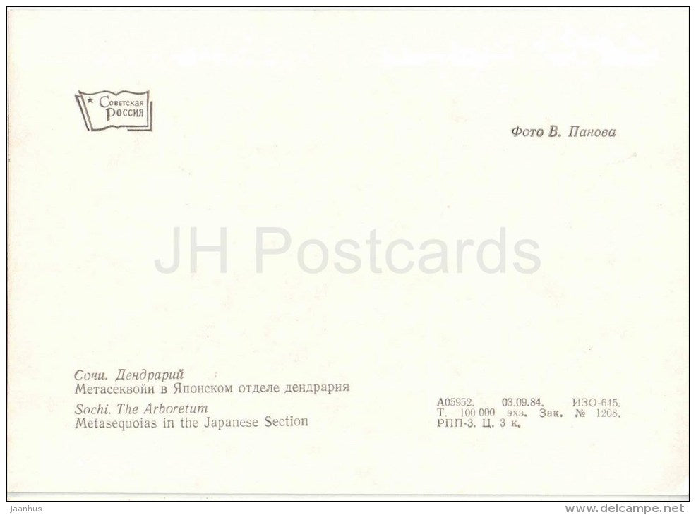 Metasequoias in the Japanese section - Arboretum - Dendrarium - Botanical Garden - Sochi - 1985 - Russia USSR - unused - JH Postcards