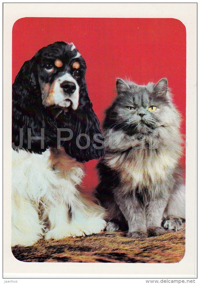 Cat and Dog - cats - Russia USSR - 1989 - unused - JH Postcards