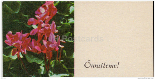 mini Birthday greeting card - cyclamen - flowers - 1973 - Estonia USSR - unused - JH Postcards
