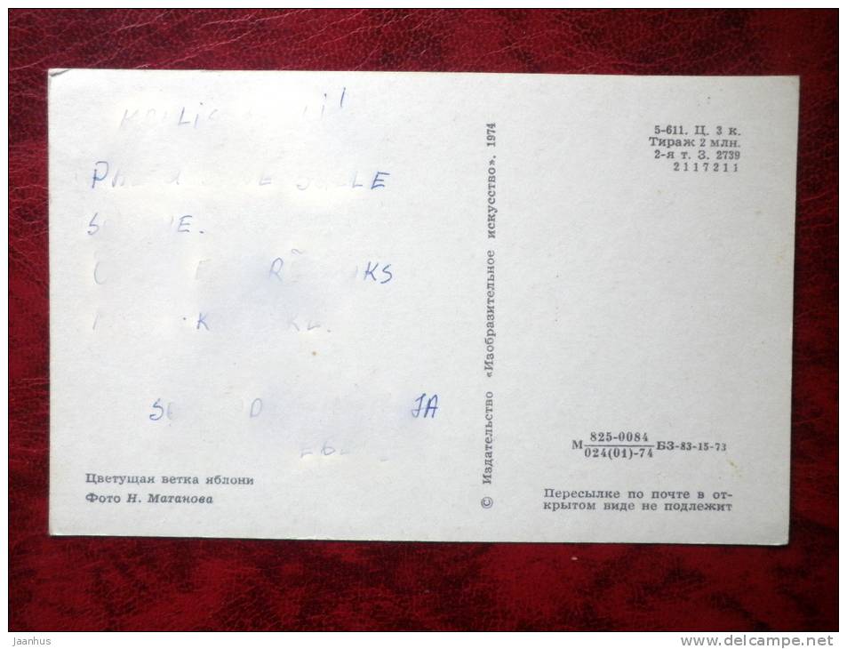 blooming apple tree branch - plants - 1974 - Russia - USSR - used - JH Postcards