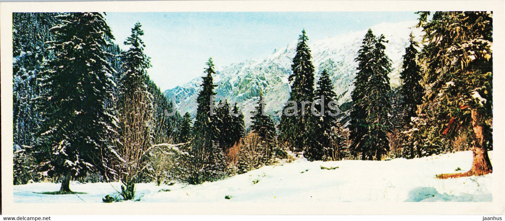 In Winter - Caucasian Nature Reserve - 1980 - Russia USSR - unused - JH Postcards