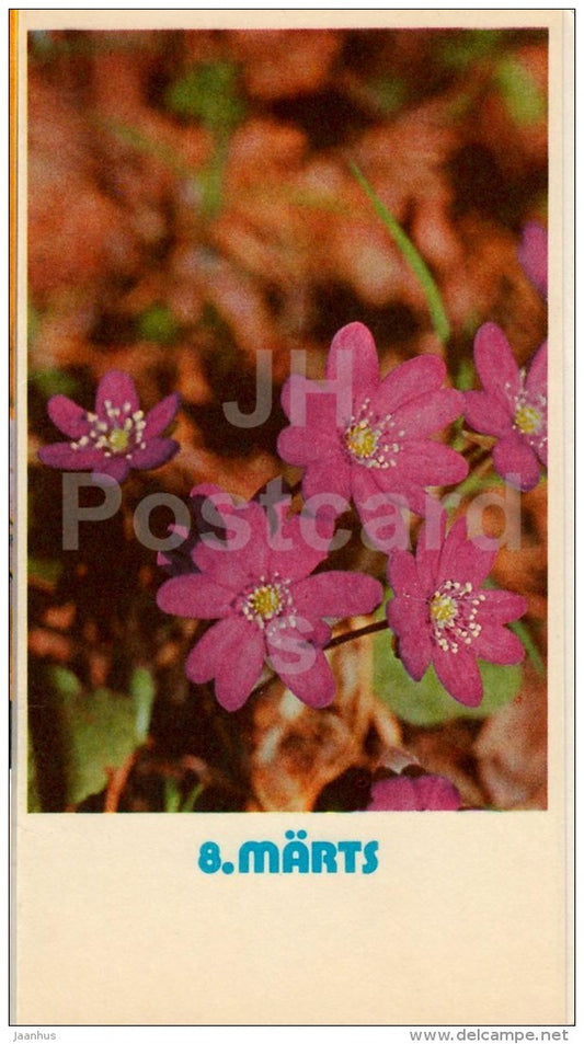 8th March greeting card - flowers - 1979 - Estonia USSR - unused - JH Postcards