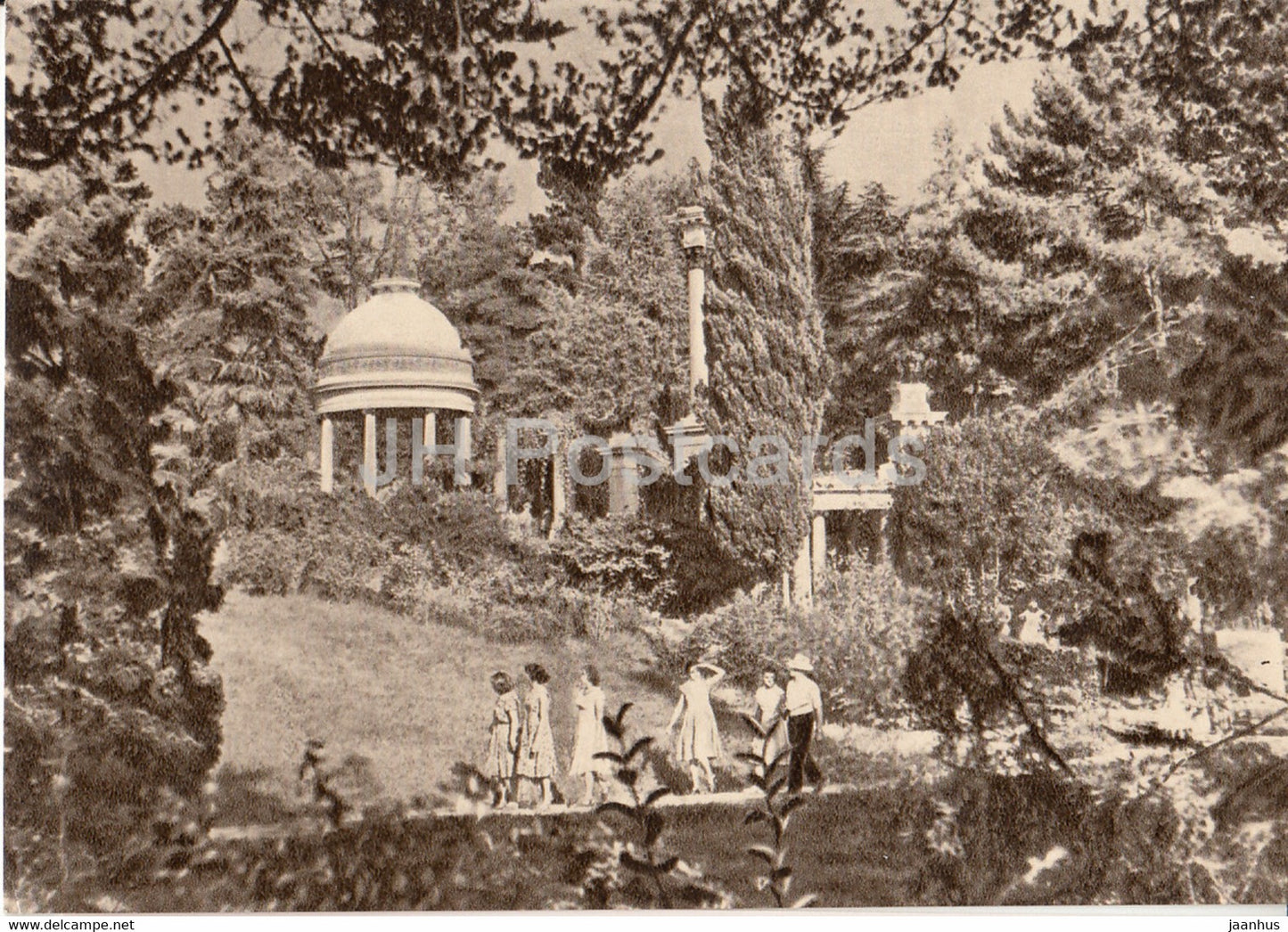 Sochi - Dendrarium - 1958 - Russia USSR - unused - JH Postcards
