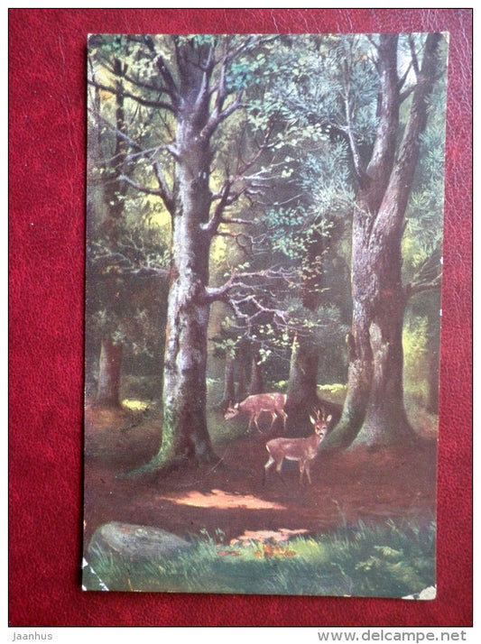 Roe Deers in the Forest - circulated in Tsarist Russia 1912 , Revel  - Germany - used - JH Postcards
