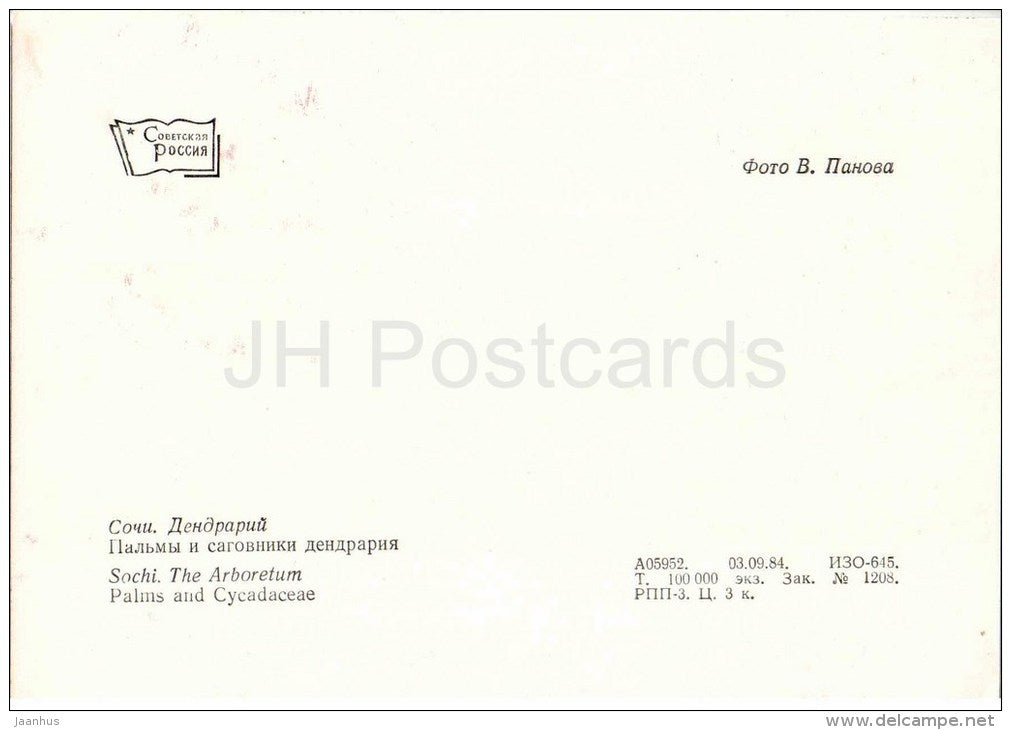 Palms and Cycadaceae - Arboretum - Dendrarium - Botanical Garden - Sochi - 1985 - Russia USSR - unused - JH Postcards