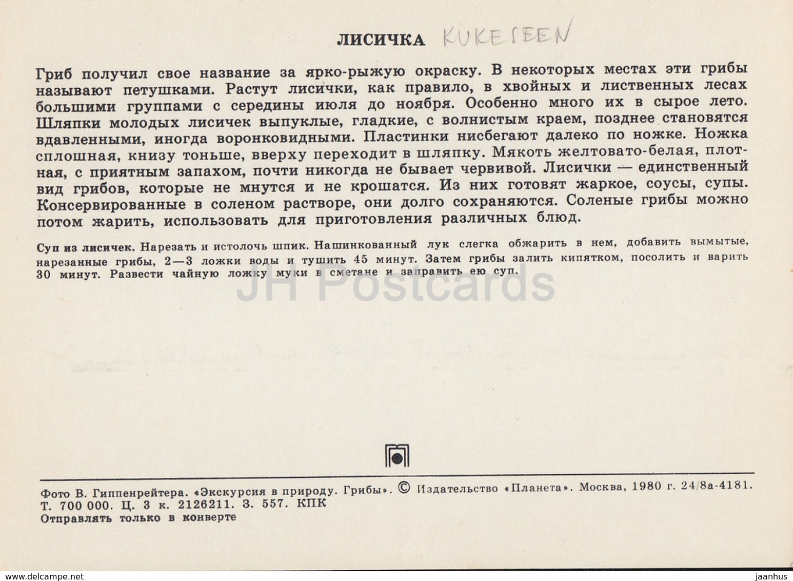 Chanterelle mushroom - Cantharellus cibarius - Mushrooms - 1980 - Russia USSR - unused - JH Postcards