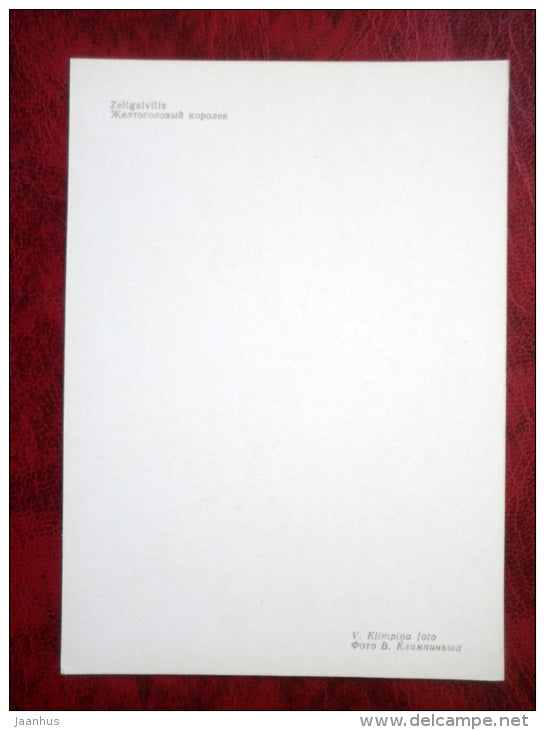 Goldcrest - Regulus regulus - birds - 1981 - Latvia USSR - unused - JH Postcards