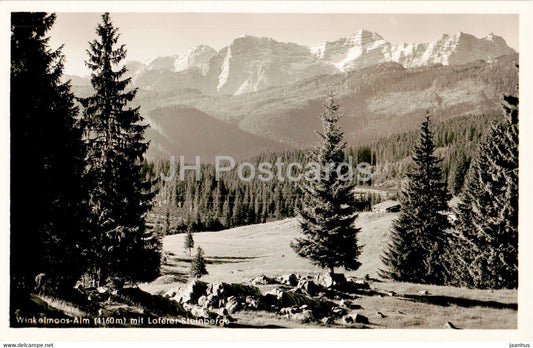 Winkelmoos Alm mit Loferer Steinberge - old postcard - Germany - unused - JH Postcards