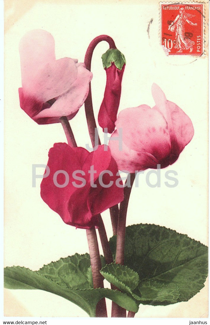 red flowers - Bonne Fete - Martin Rommel - old postcard - Germany - used - JH Postcards