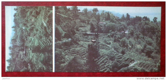 Abkhazian ASSR - Georgia USSR - unused - JH Postcards