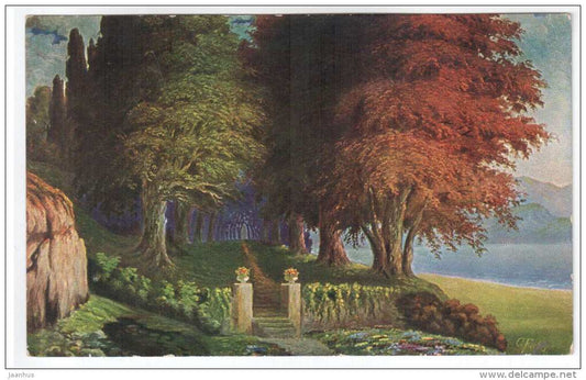illustration by Fiebiger - road trees - Amag 1129 - old postcard - unused - JH Postcards
