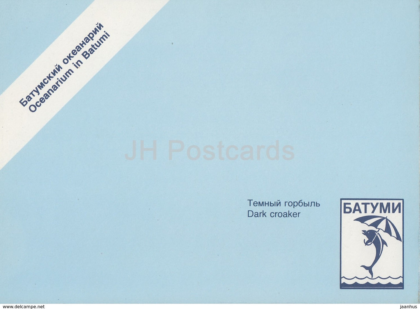 Atlantic croaker - Micropogonias undulatus - fish - Oceanarium in Batumi - 1989 - Georgia USSR - unused - JH Postcards