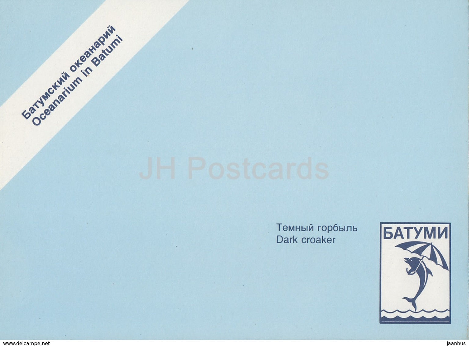 Atlantic croaker - Micropogonias undulatus - fish - Oceanarium in Batumi - 1989 - Georgia USSR - unused - JH Postcards