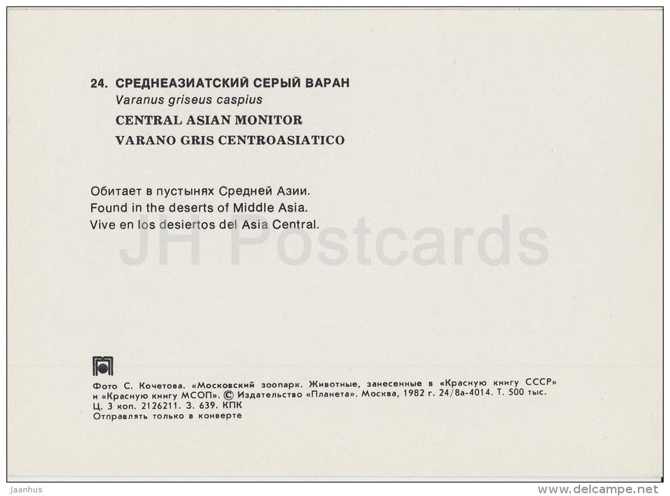 Caspian monitor - Varanus griseus caspius - Moscow Zoo - 1982 - Russia USSR - unused - JH Postcards