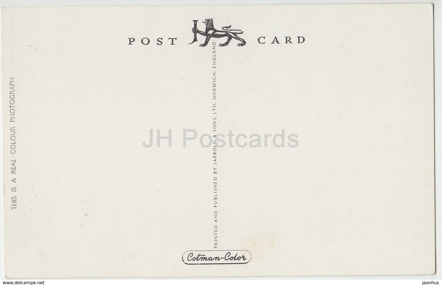 Torquay - Anstey's Cove - KT 118 - United Kingdom - England - unused