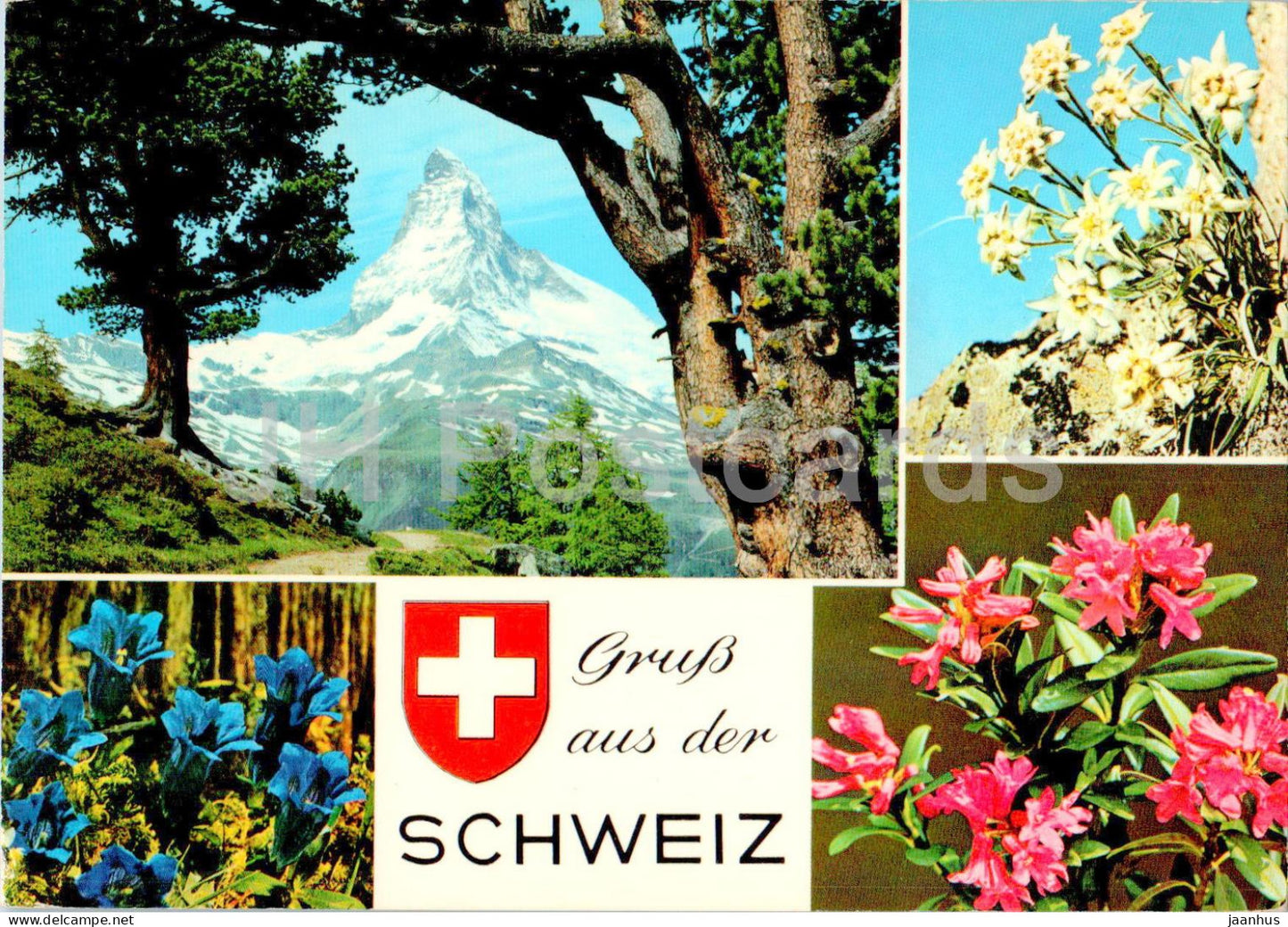 Gruss aus der Schweiz - plants - multiview - 483 - Switzerland - used - JH Postcards