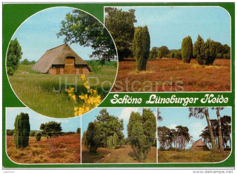 Schöne Lüneburger Heide - Lhei 529 - Germany - 1989 gelaufen - JH Postcards