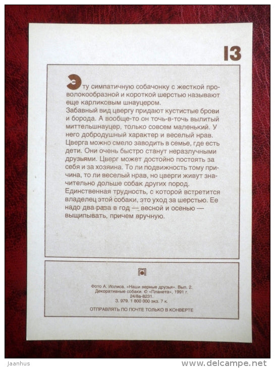 ZwergSchnauzer - dogs - 1991 - Russia - USSR - unused - JH Postcards