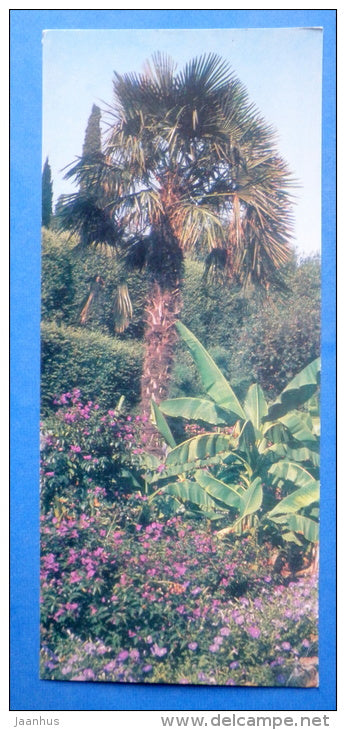 Bougainvillea - Nikitsky Botanical Garden - 1981 - Ukraine USSR - unused - JH Postcards