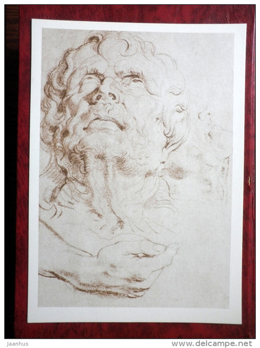 Drawing by Peter Paul Rubens - Study of a male Head and Arm, 1619 - maxi card - flemish art - 1977 - unused - JH Postcards