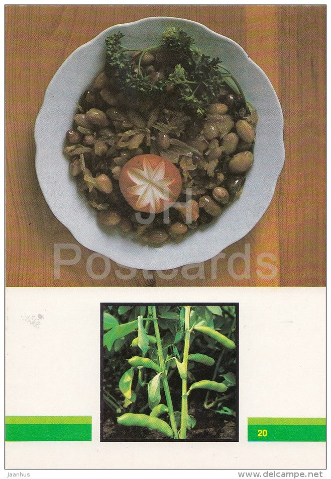 Bean Salad - Vegetable Dishes - recipes - 1990 - Russia USSR - unused - JH Postcards