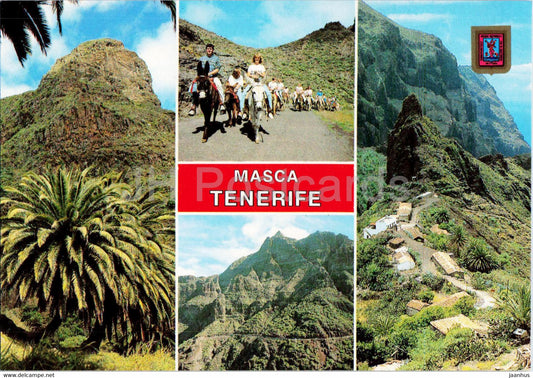 Masca - Diversos aspectos - different views - Tenerife - animals - horse - donkey - multiview - 256 - Spain - unused - JH Postcards