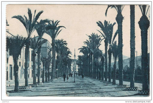 Calle del Real , Cartagena - 19 - palm alley - L. Roisin - old postcard - Spain - unused - JH Postcards
