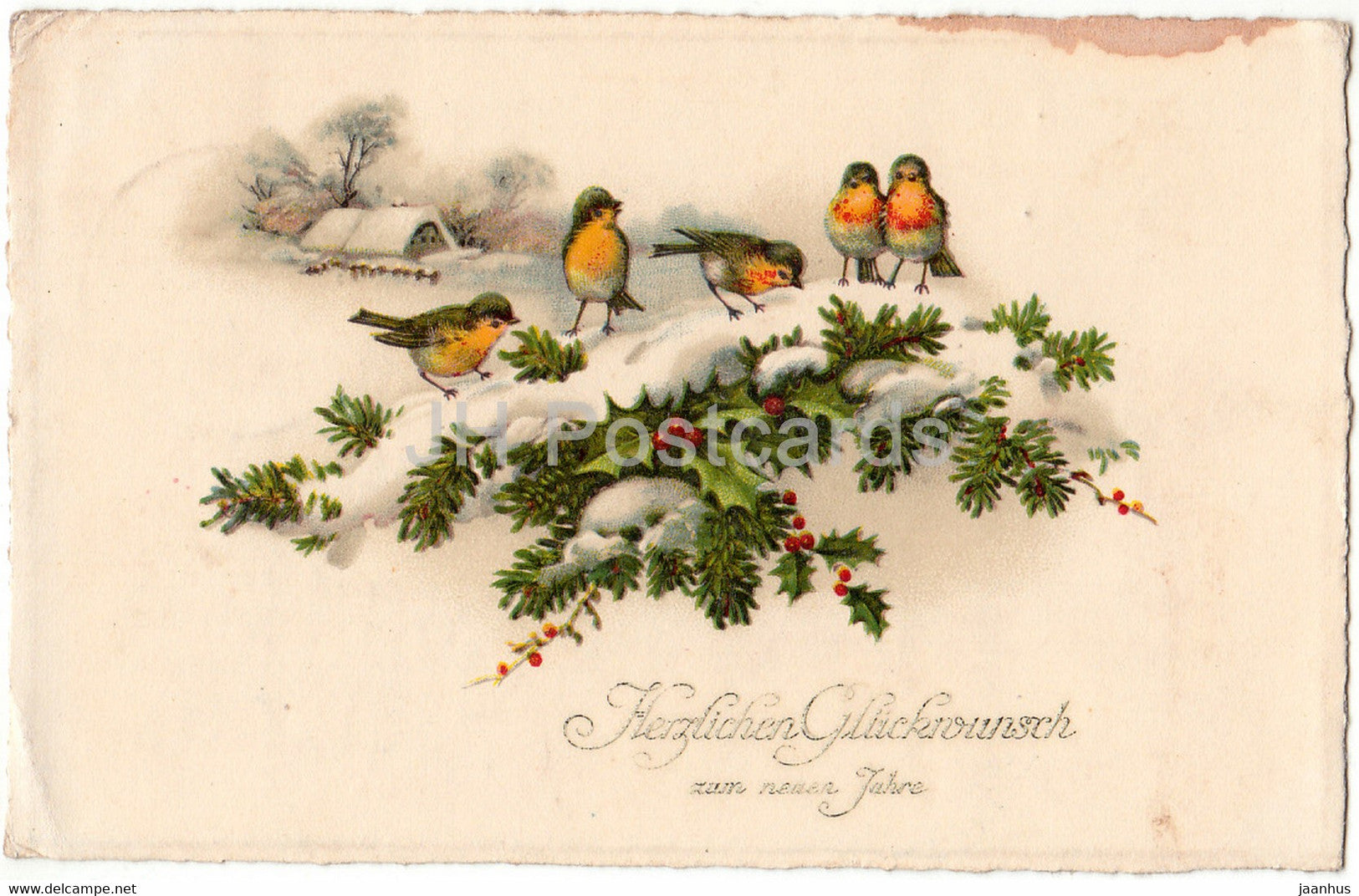 New Year Greeting Card - Herzlichen Gluckwunsch zum neuen Jahre - birds - Erika - old postcard - Germany - used - JH Postcards