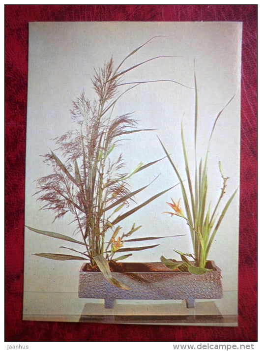 floral composition Moment - barley - cattail - reeds lily - flowers - plants - 1983 - Estonia - USSR - unused - JH Postcards