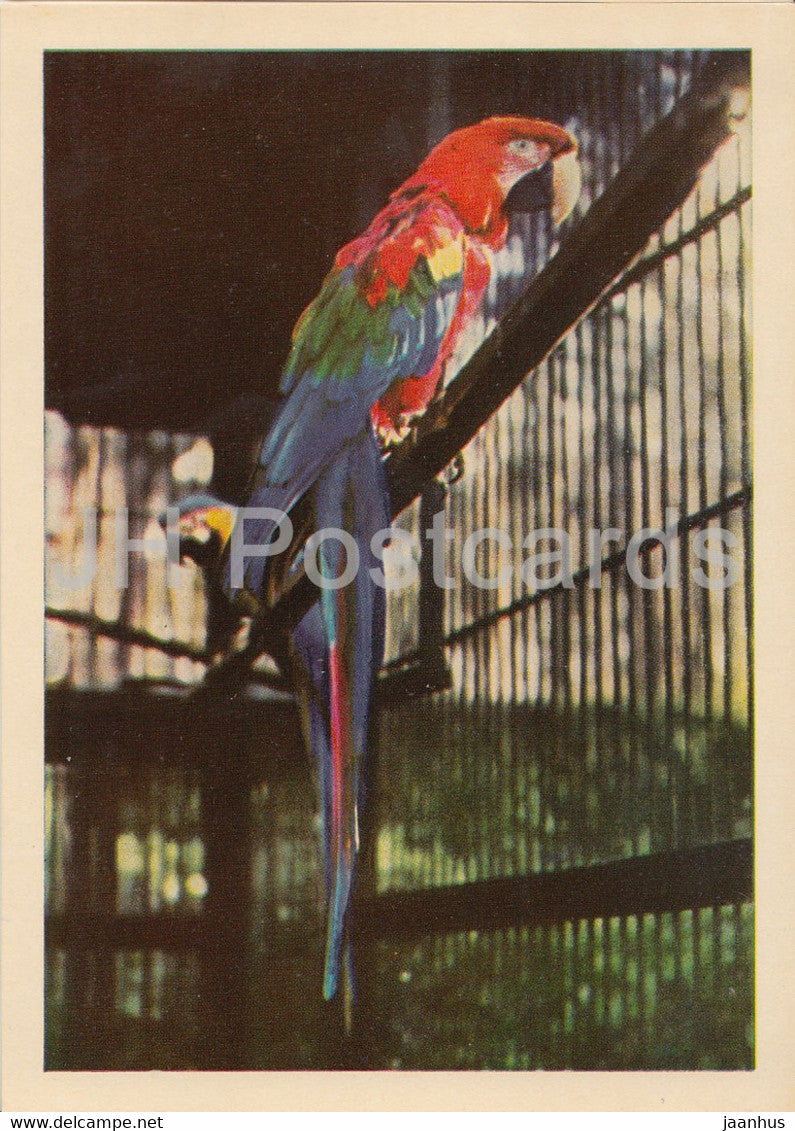 Riga Zoo - Green-Winged Macaw - Ara chloropterus - birds - Latvia USSR - unused - JH Postcards