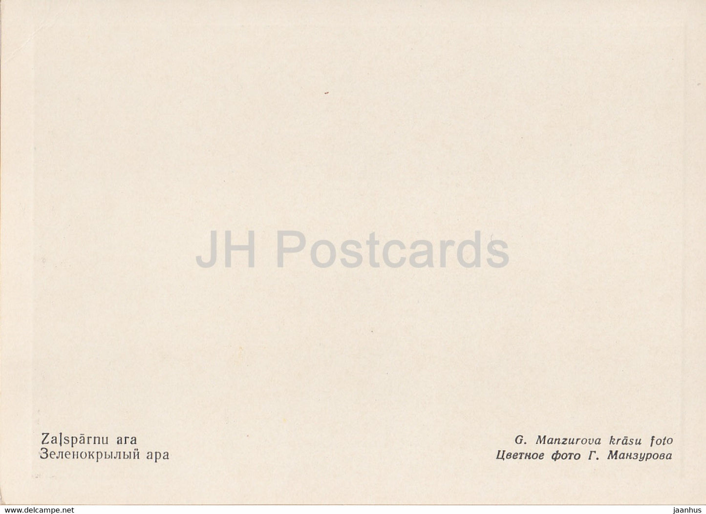 Riga Zoo - Green-Winged Macaw - Ara chloropterus - birds - Latvia USSR - unused