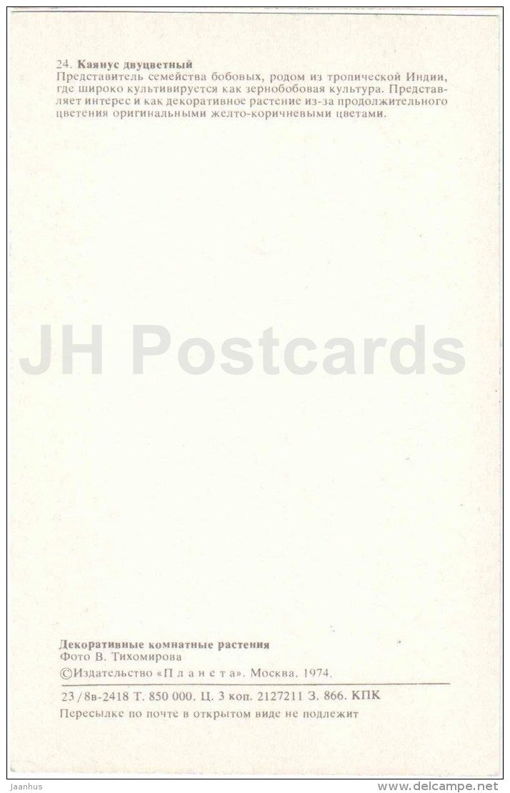 cajanus - flowers - 1974 - Russia USSR - unused - JH Postcards