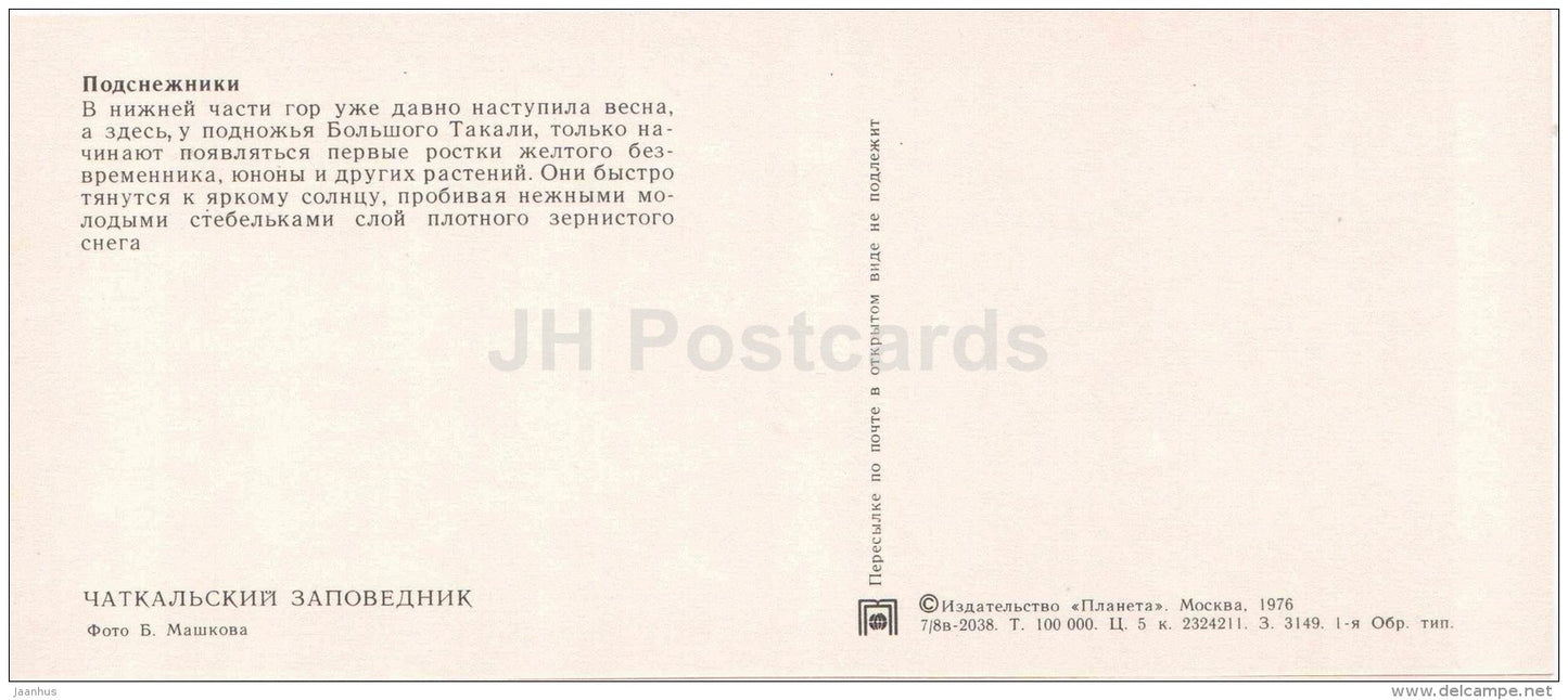 snow plants - mountains - Chatkalsky National Park - 1976 - Uzbekistan USSR - unused - JH Postcards