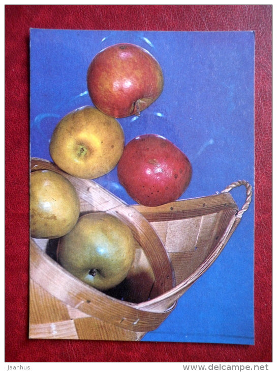 Greeting Card - apples - wooden basket - 1990 - Estonia USSR - unused - JH Postcards
