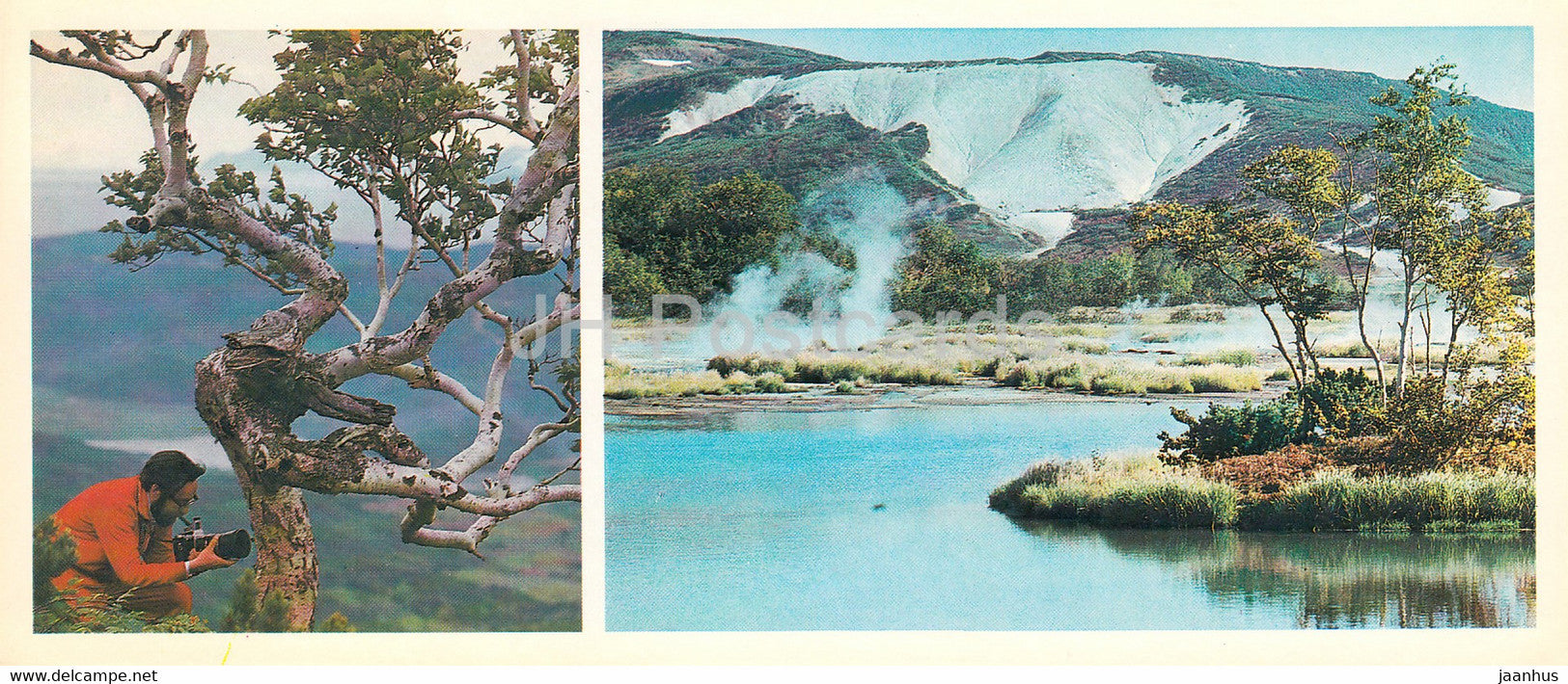 Kamchatka - Erman's birch - Betula ermanii - lake Utinoye - volcano Uzon - 1981 - Russia USSR - unused - JH Postcards