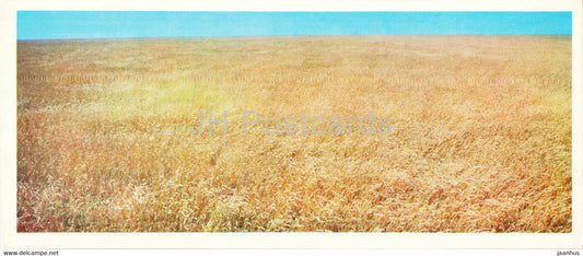 field of new wheat variety Pyrotrix 28 - 1976 - Kazakhstan USSR - unused - JH Postcards