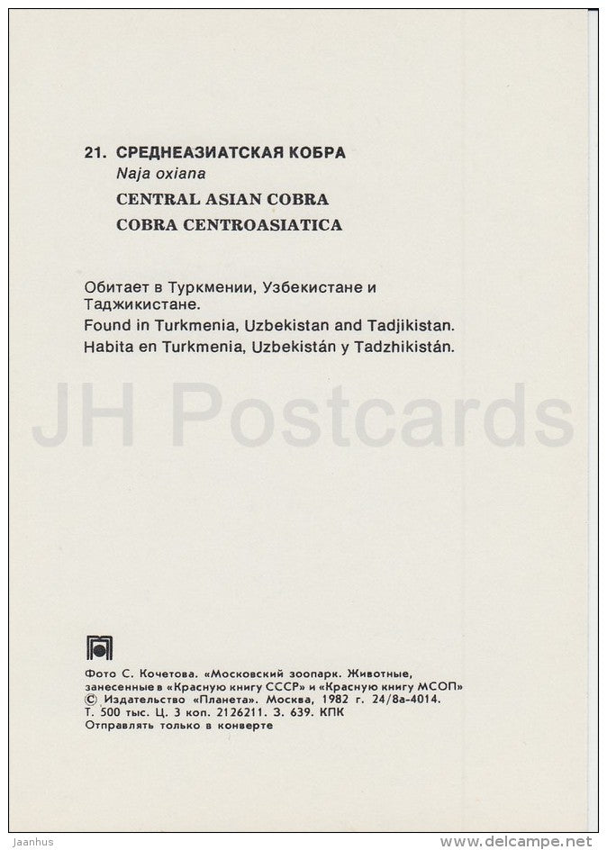 Caspian cobra - Naja oxiana - Moscow Zoo - 1982 - Russia USSR - unused - JH Postcards