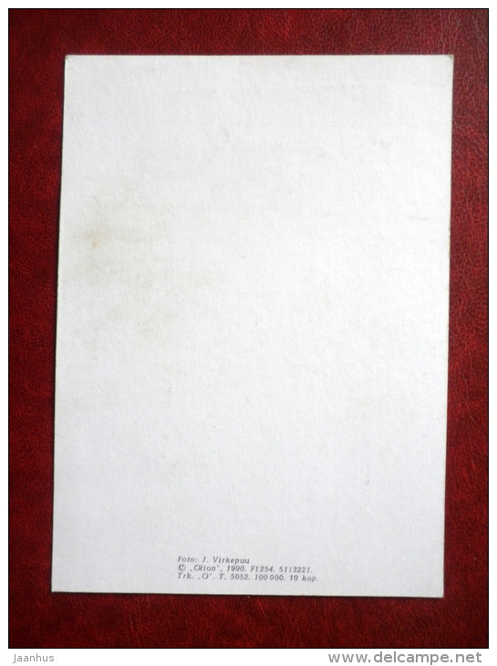 Greeting Card - apples - wooden basket - 1990 - Estonia USSR - unused - JH Postcards