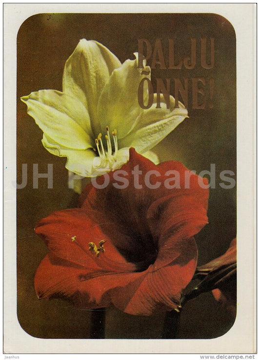 Greeting Card - red and white lily - flowers - 1981 - Estonia USSR - used - JH Postcards