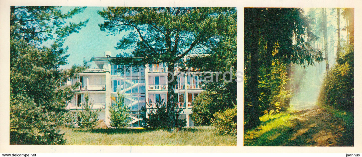 sanatorium - Forest Wealth - 1981 - Russia USSR - unused - JH Postcards