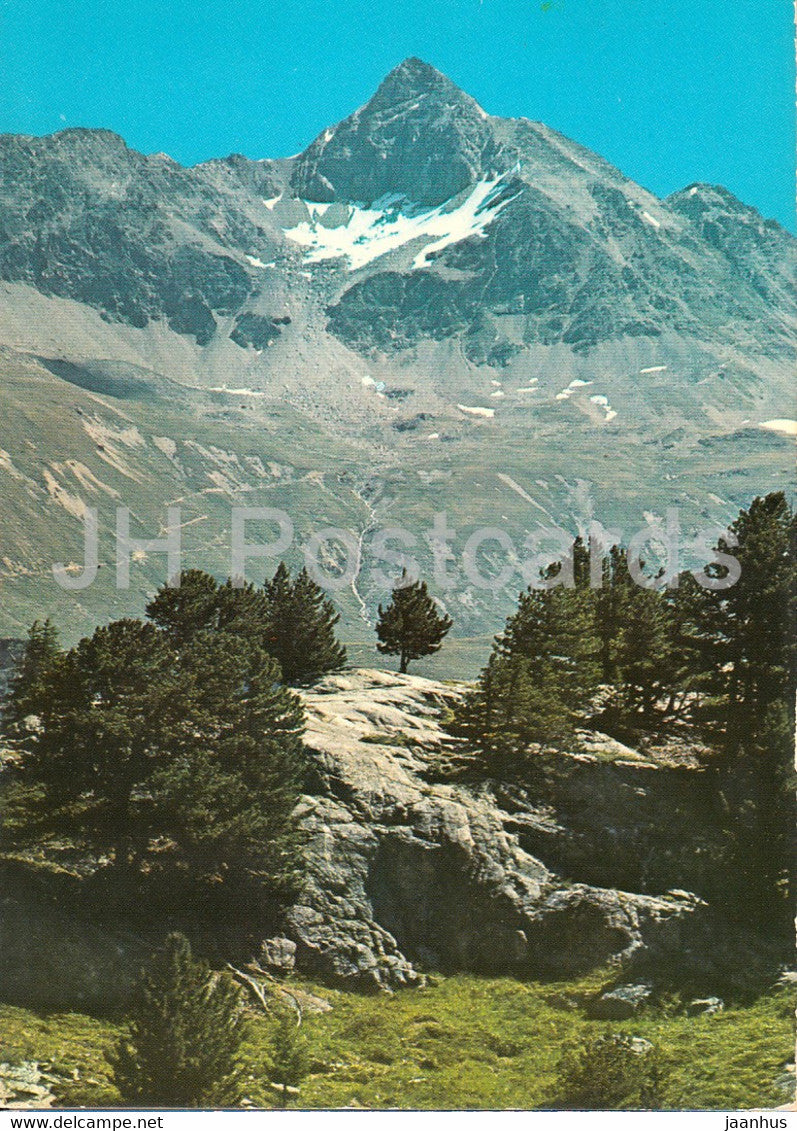 Piz Languard 3262 m - 164 - 1975 - Switzerland - used - JH Postcards