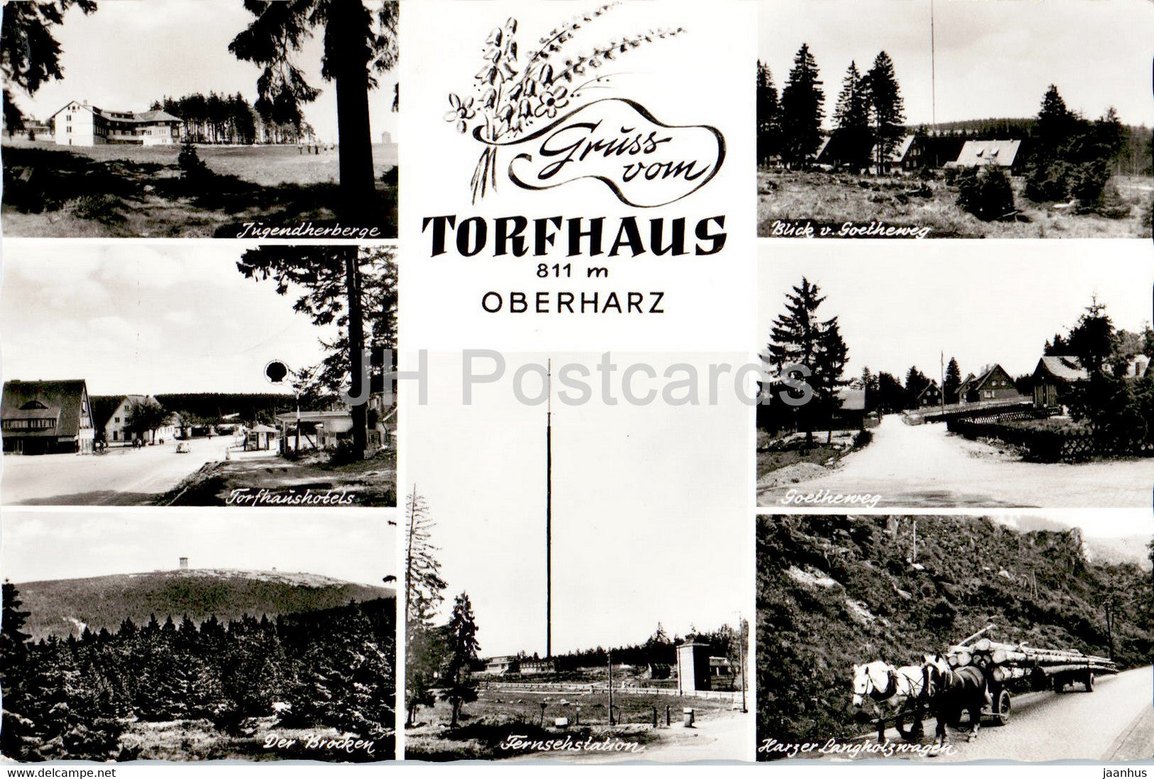 Gruss vom Torfhaus - Oberharz - Jugendherberge - Goetheweg - Harzer Langholzwagen - horse - 1969 - Germany - used - JH Postcards