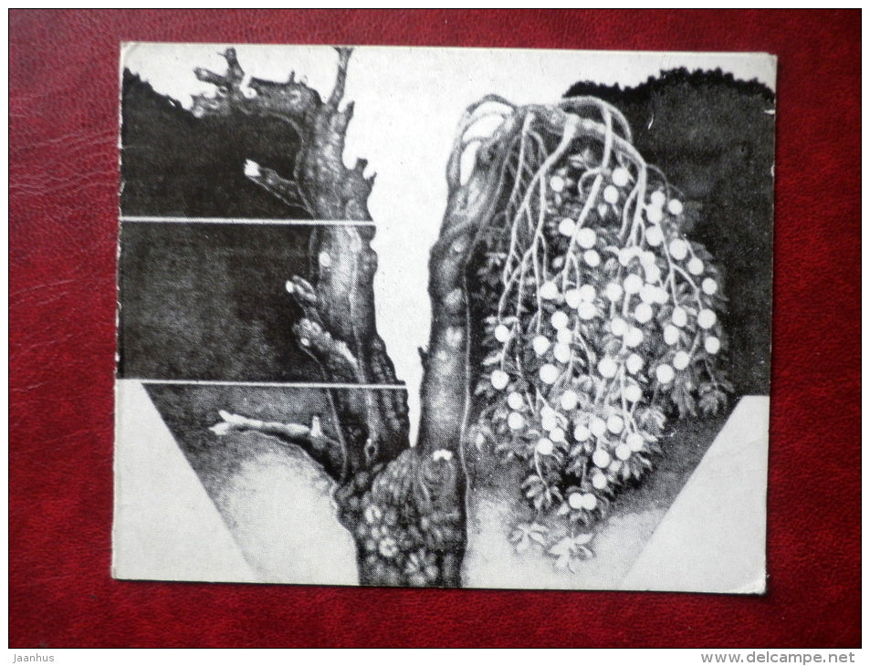 New Year Greeting card - litography by H. Eelma - Apple Tree - 1983 - Estonia USSR - used - JH Postcards